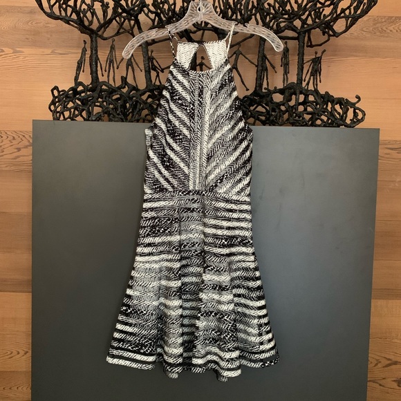 EUC PARKER Orion Print Mesh Silk Stripe Fit & Flare Dress Size S - Picture 8 of 9